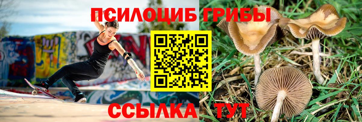 Первоуральск  Галлюциногенные грибы MAGIC MUSHROOMS  наркота  Вход с VPN  Псилоцибиновые грибы GOLDEN TEACHER 